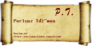 Perlusz Tímea névjegykártya